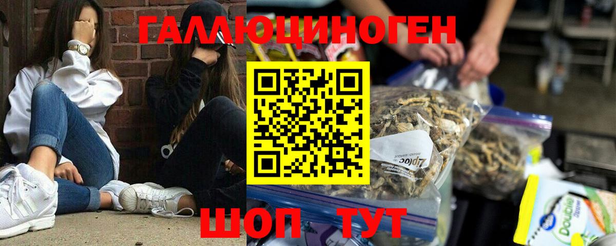 Галлюциногенные грибы мицелий Дубна